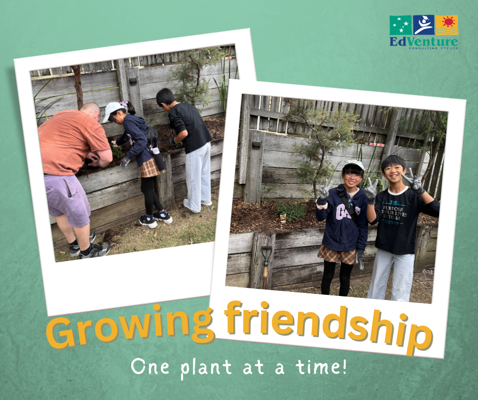Facebook Graphics (4)